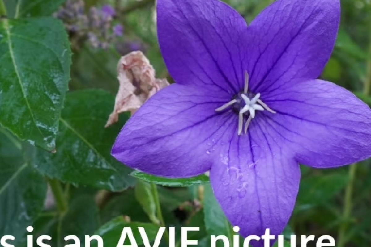 Во время масштабной атаки БПЛА на запасные аэродромы ушли 83 самолета.