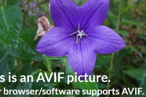 Во время масштабной атаки БПЛА на запасные аэродромы ушли 83 самолета,