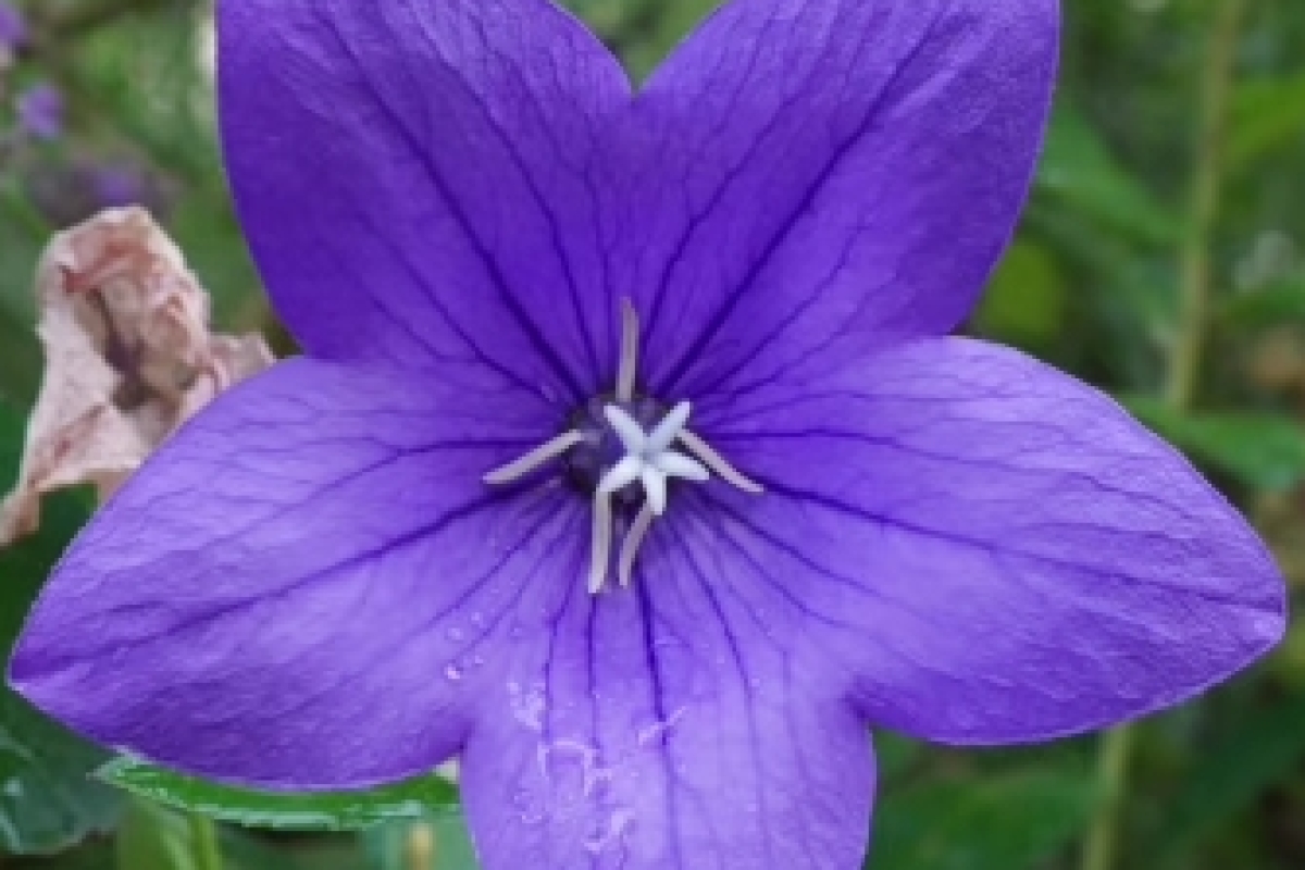 ExxonMobil может лишиться прибыли до $1 млрд 