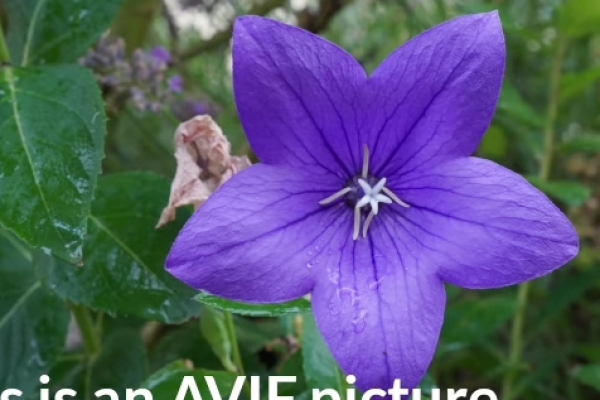 ExxonMobil может лишиться прибыли до $1 млрд 